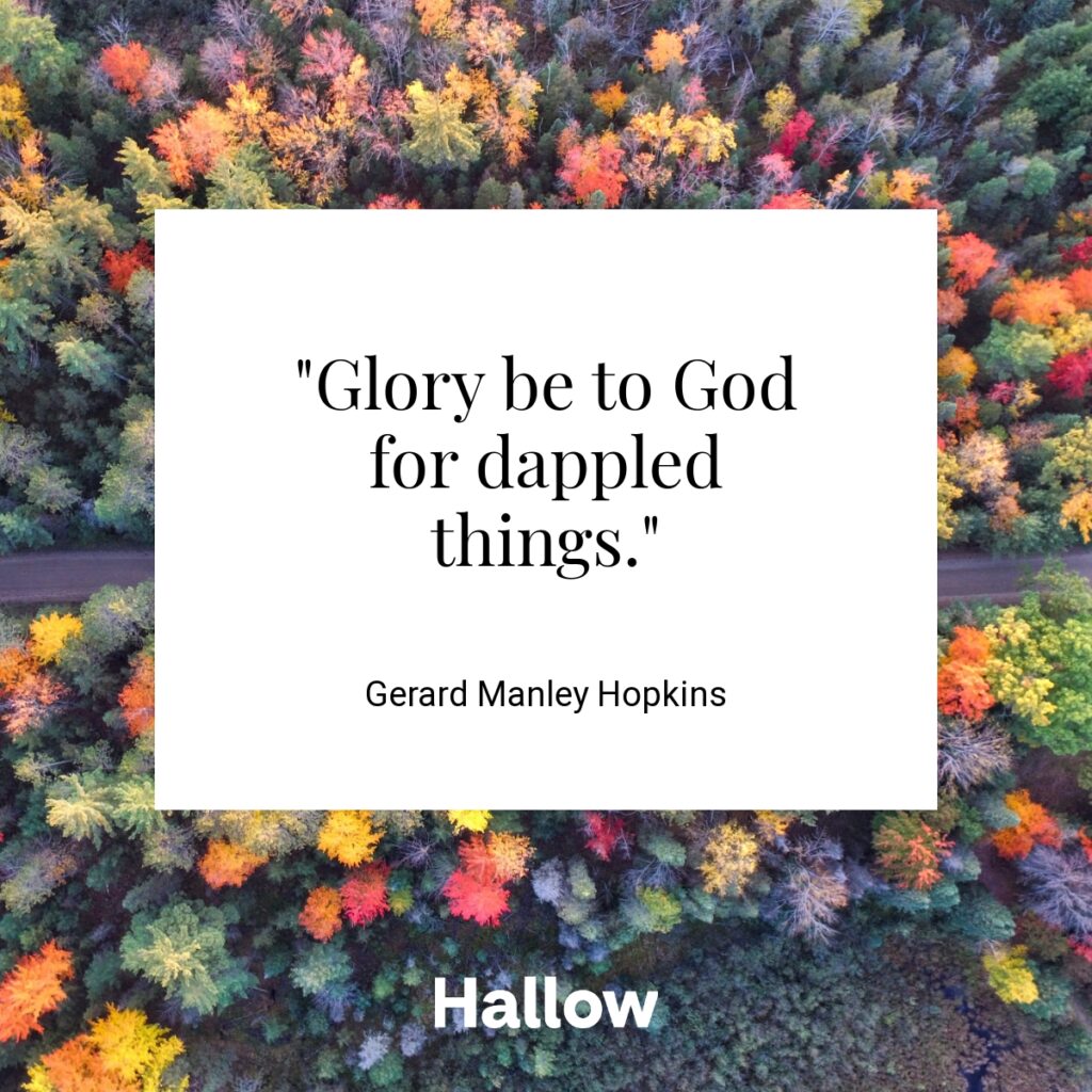 "Glory be to God for dappled things." - Gerard Manley Hopkins
