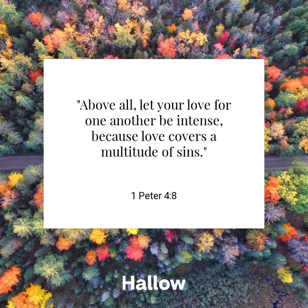 "Above all, let your love for one another be intense, because love covers a multitude of sins." - 1 Peter 4:8