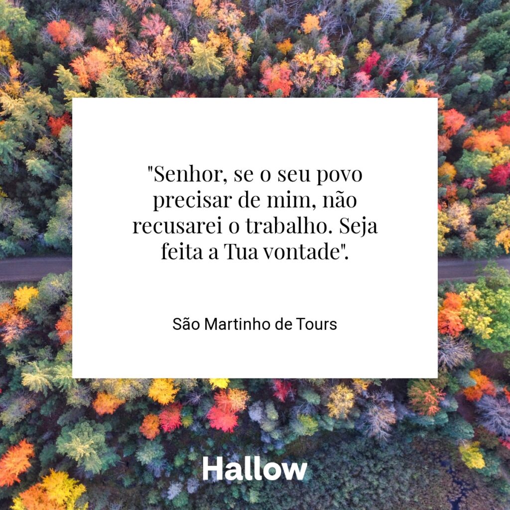 "Senhor, se o seu povo precisar de mim, não recusarei o trabalho. Seja feita a Tua vontade". - São Martinho de Tours