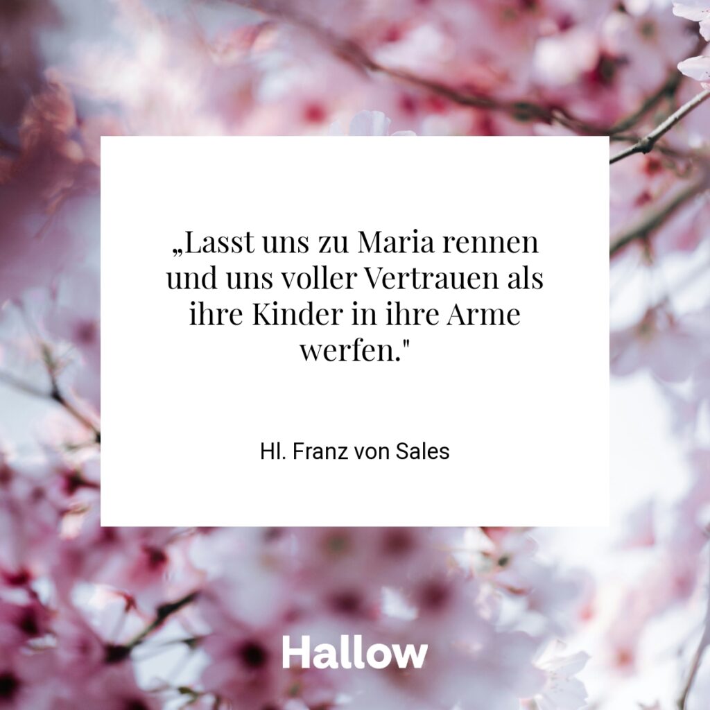 „Lasst uns zu Maria rennen und uns voller Vertrauen als ihre Kinder in ihre Arme werfen." - Hl. Franz von Sales