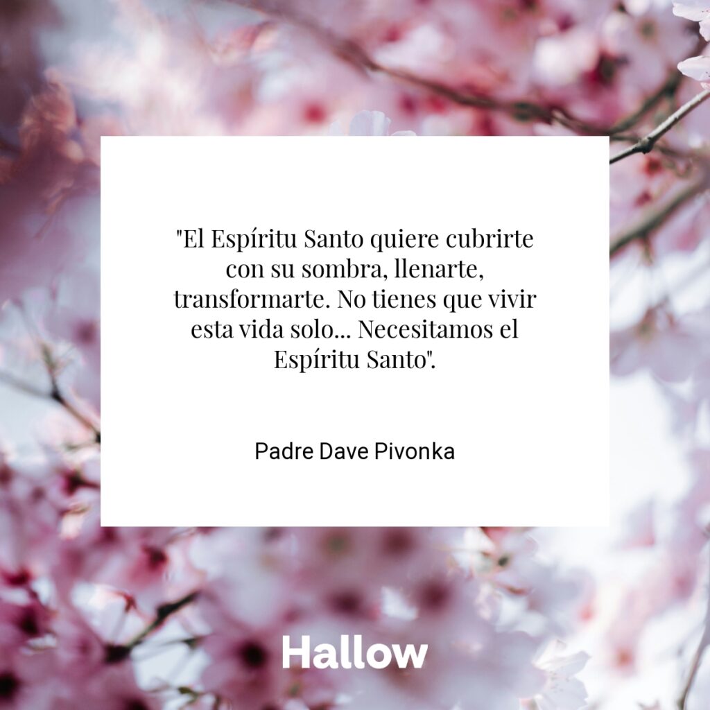 "El Espíritu Santo quiere cubrirte con su sombra, llenarte, transformarte. No tienes que vivir esta vida solo... Necesitamos el Espíritu Santo". - Padre Dave Pivonka