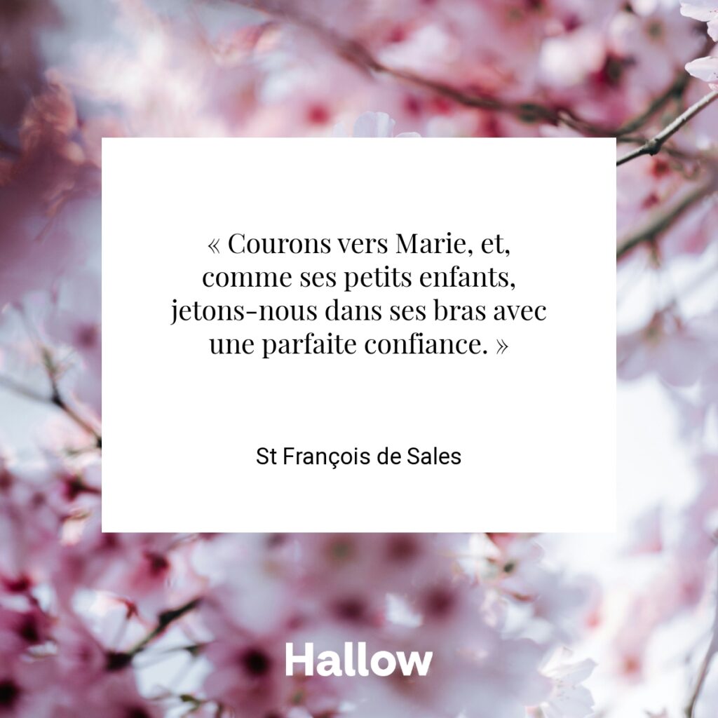 « Courons vers Marie, et, comme ses petits enfants, jetons-nous dans ses bras avec une parfaite confiance. » - St François de Sales