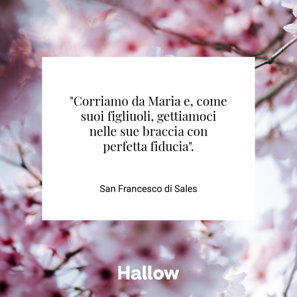 "Corriamo da Maria e, come suoi figliuoli, gettiamoci nelle sue braccia con perfetta fiducia". - San Francesco di Sales