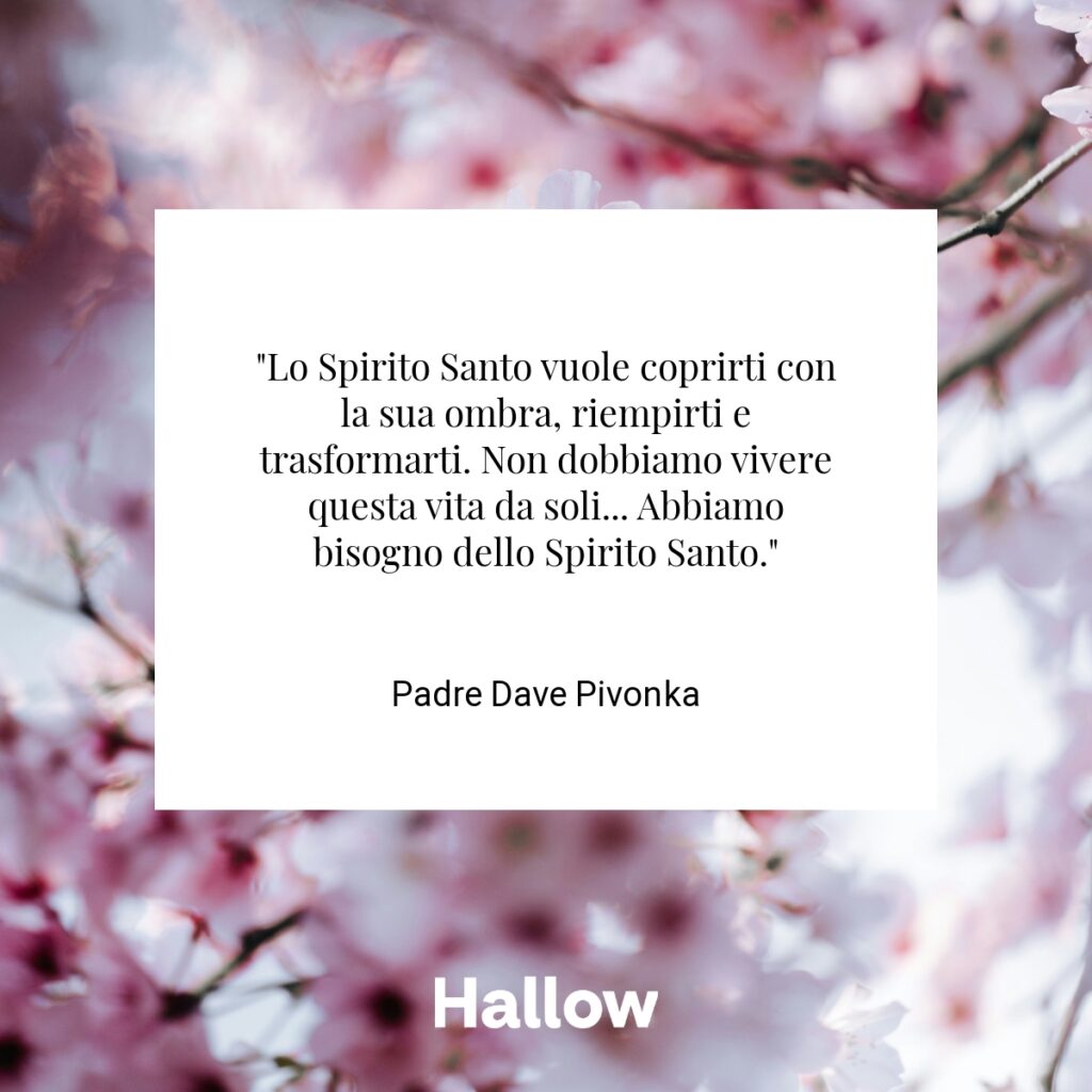 "Lo Spirito Santo vuole coprirti con la sua ombra, riempirti e trasformarti. Non dobbiamo vivere questa vita da soli... Abbiamo bisogno dello Spirito Santo." - Padre Dave Pivonka