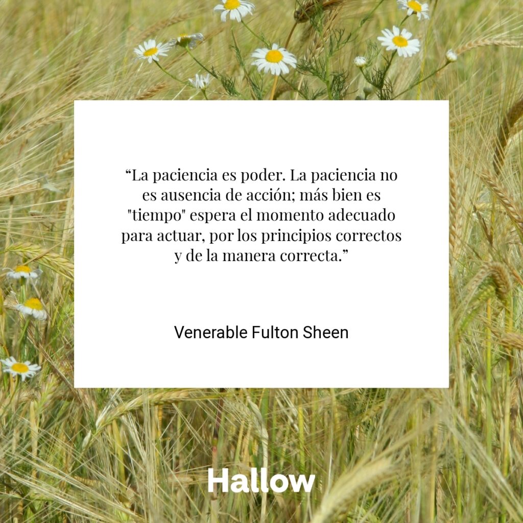 “La paciencia es poder. La paciencia no es ausencia de acción; más bien es "tiempo" espera el momento adecuado para actuar, por los principios correctos y de la manera correcta.” - Venerable Fulton Sheen