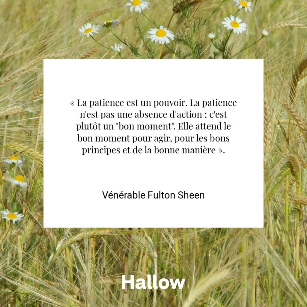 « La patience est un pouvoir. La patience n'est pas une absence d'action ; c'est plutôt un "bon moment". Elle attend le bon moment pour agir, pour les bons principes et de la bonne manière ». - Vénérable Fulton Sheen