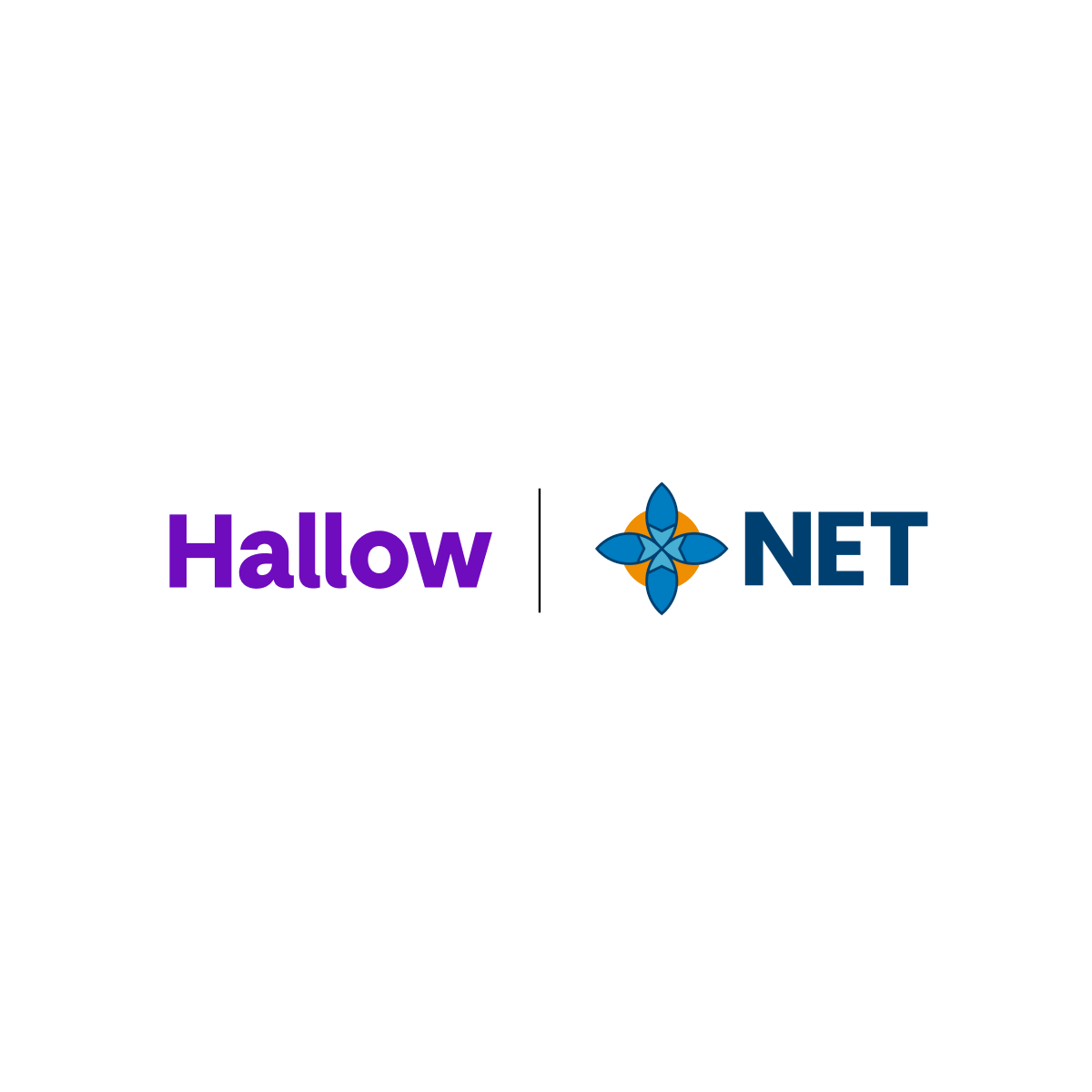 hallow app net worth