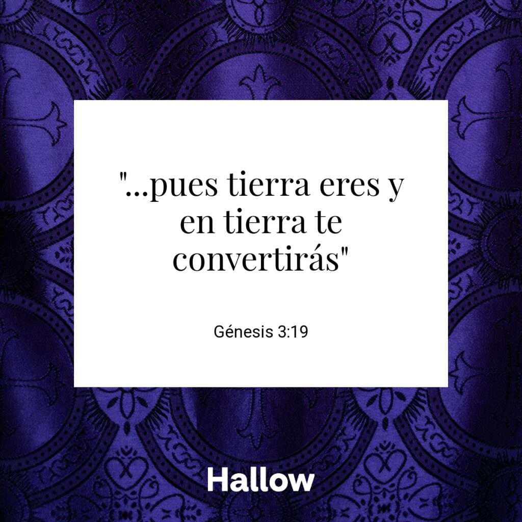 "...pues tierra eres y en tierra te convertirás" - Génesis 3:19