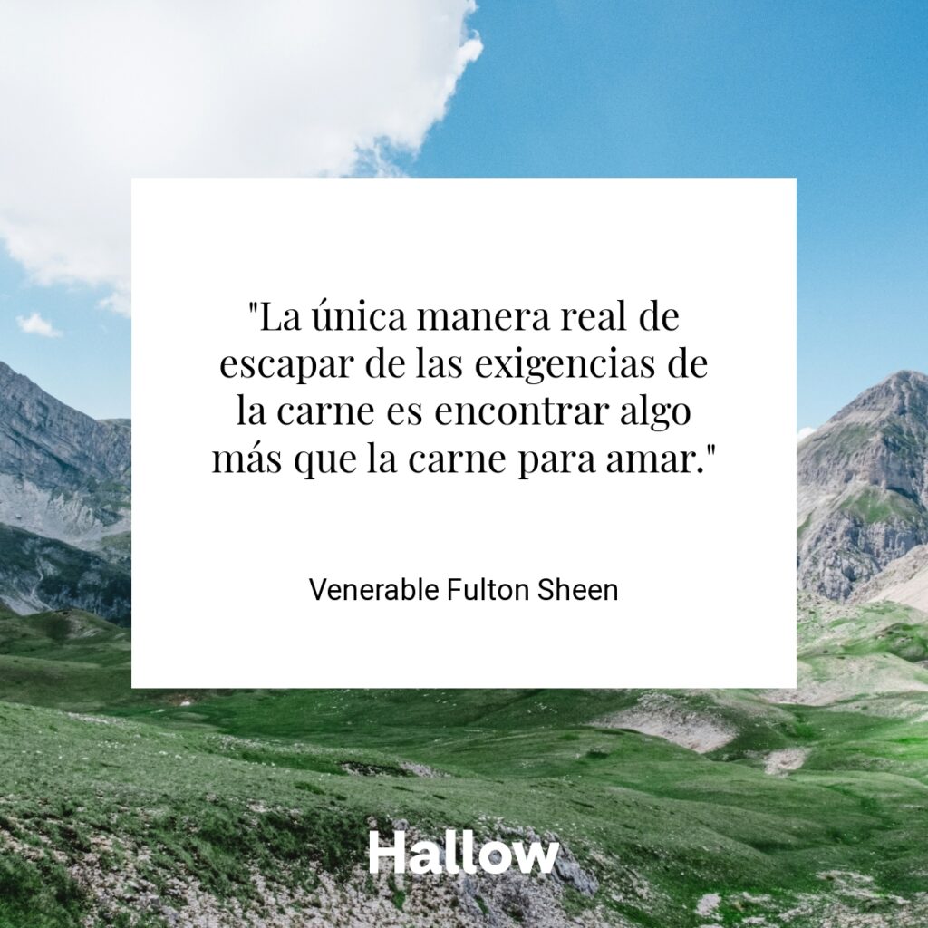 "La única manera real de escapar de las exigencias de la carne es encontrar algo más que la carne para amar." - Venerable Fulton Sheen