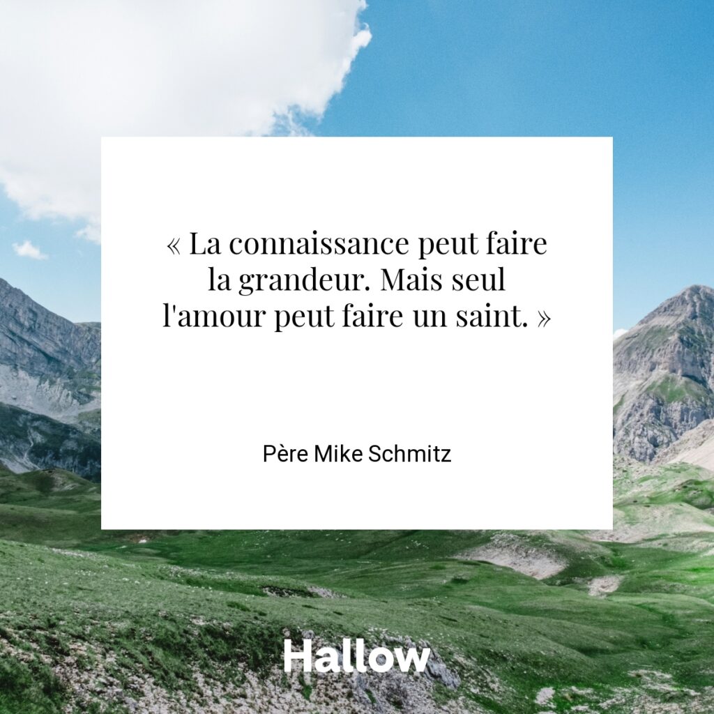 « La connaissance peut faire la grandeur. Mais seul l'amour peut faire un saint. » - Père Mike Schmitz