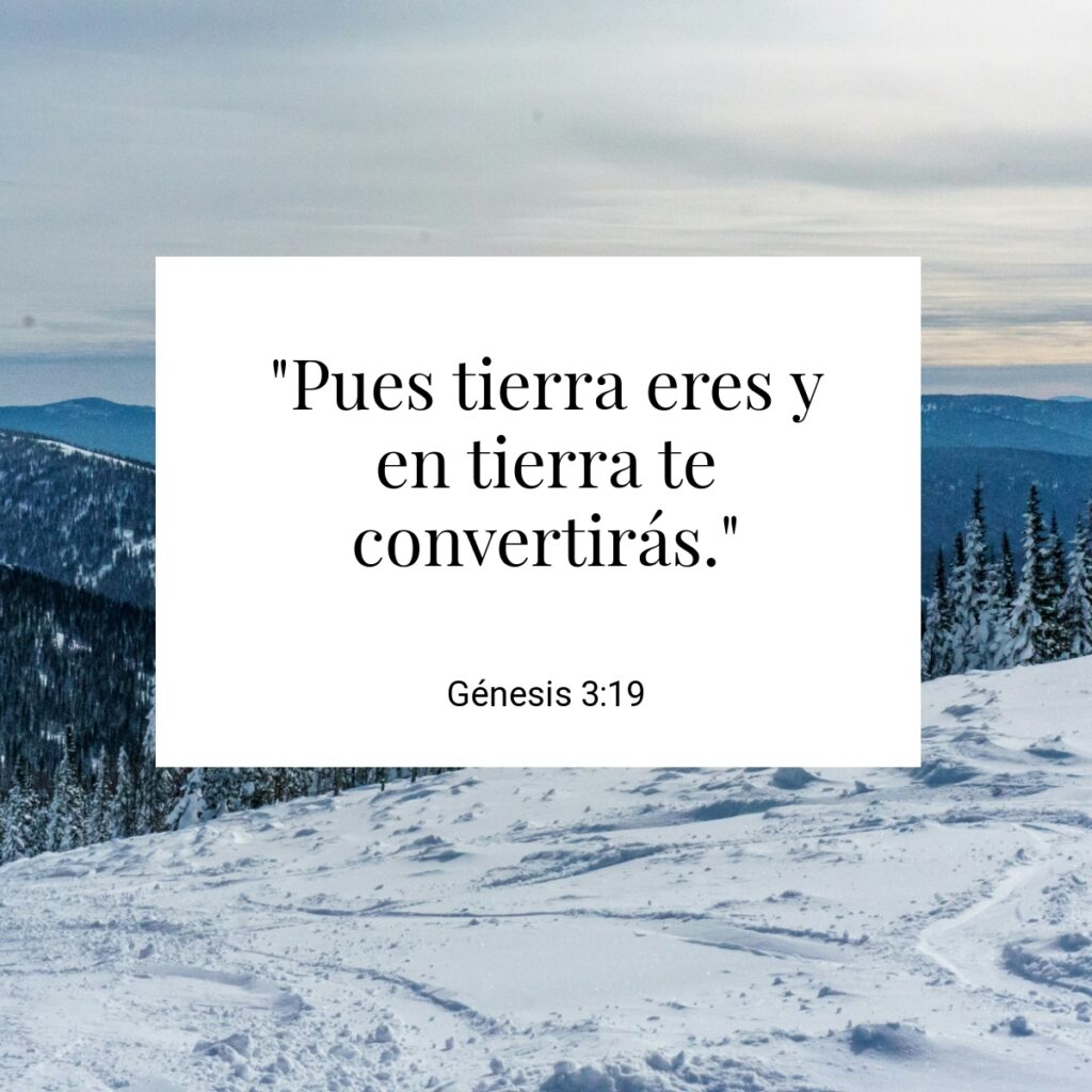 "Pues tierra eres y en tierra te convertirás." - Génesis 3:19