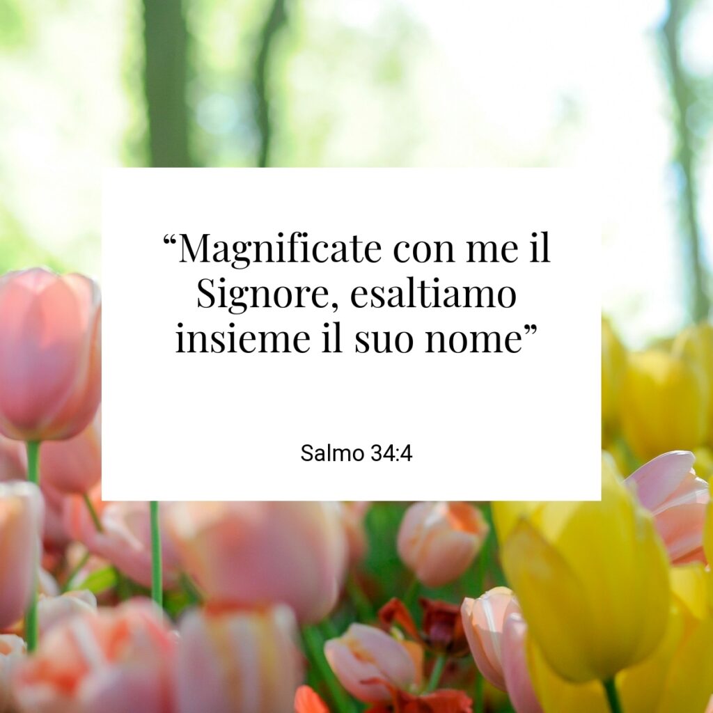 “Magnificate con me il Signore, esaltiamo insieme il suo nome” - Salmo 34:4