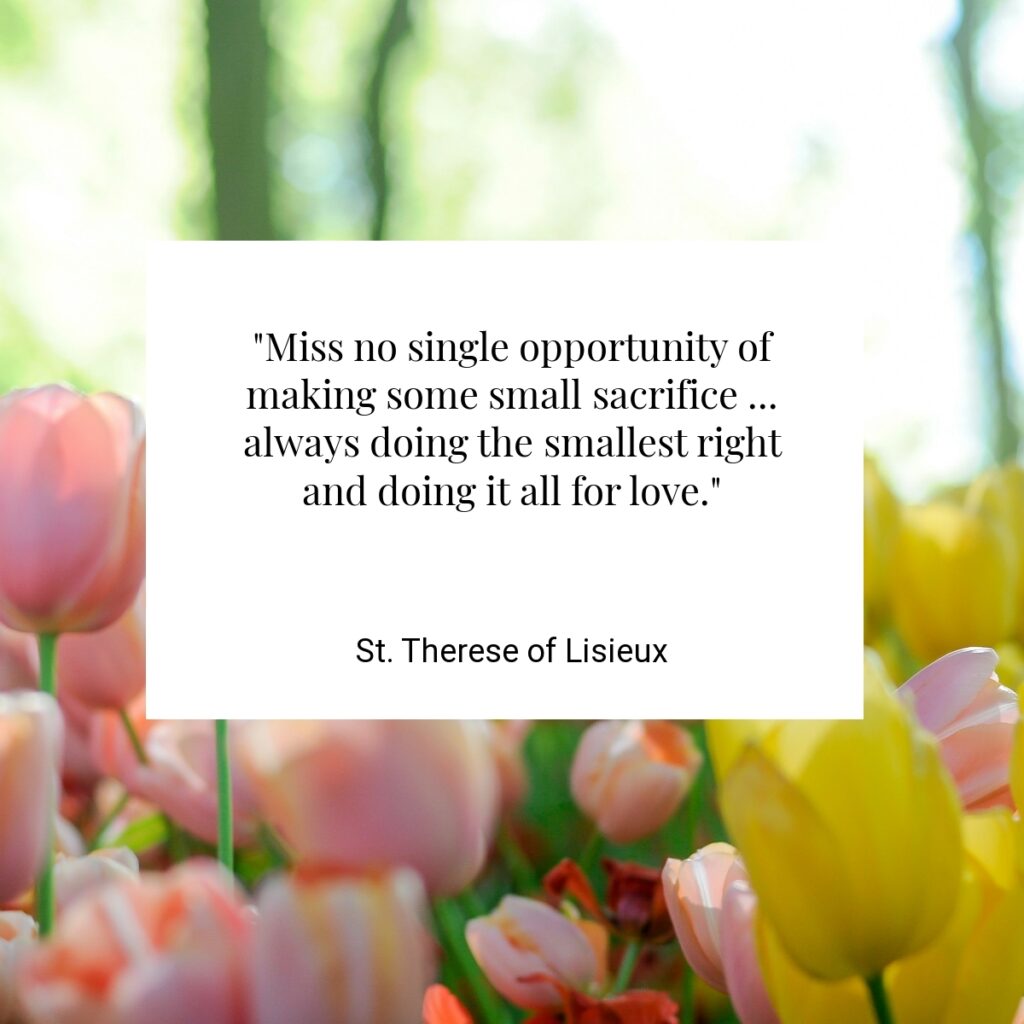 "Miss no single opportunity of making some small sacrifice ... always doing the smallest right and doing it all for love." - St. Therese of Lisieux