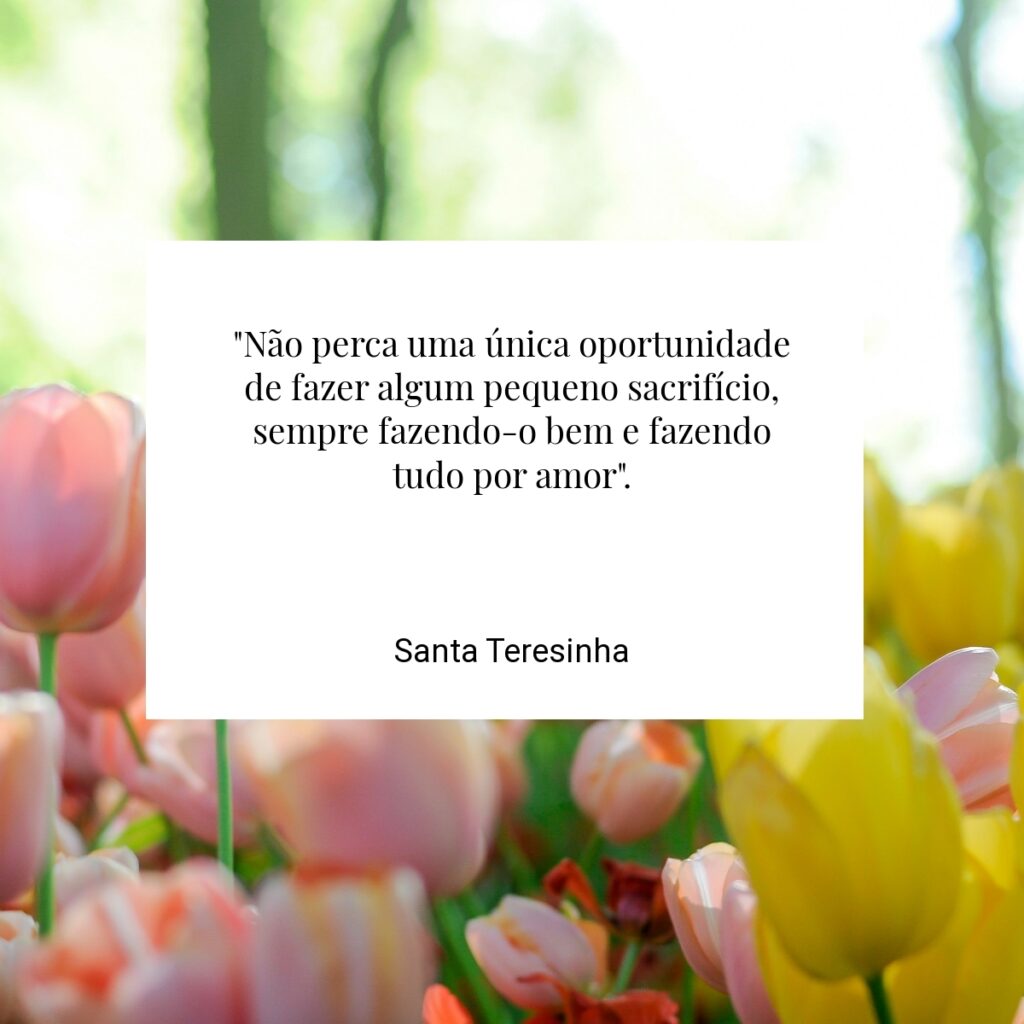 "Não perca uma única oportunidade de fazer algum pequeno sacrifício, sempre fazendo-o bem e fazendo tudo por amor". - Santa Teresinha